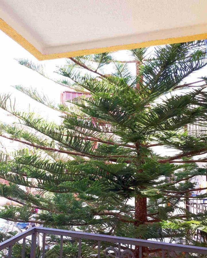 Venera Apartments Budva Bagian luar foto